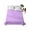 Plum Orchid, variant on Queen Flat Sheet 90"x102", Purple Pink Soft Lightweight Bedding Flat Sheets Only, Geometric Vertical Striped Solid Rainbow Brushed Microfiber Top Bed Sheet, Breathable StainResistant Bedsheets