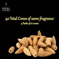 thumbnail image 2 of Soul Sticks 4 Packs Cinnamon Backflow Incense Cones 40 pcs Back Flow Cone, 2 of 6