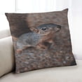 thumbnail image 1 of Ahgly Company Animals Squirrel Coussin d'Intérieur, 18 Pouces par 18 Pouces, 1 of 6