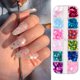 thumbnail image 4 of 12 rejillas mariposa uñas arte brillo lentejuelas iridiscente copos brillo Labymos Natural, 4 of 7