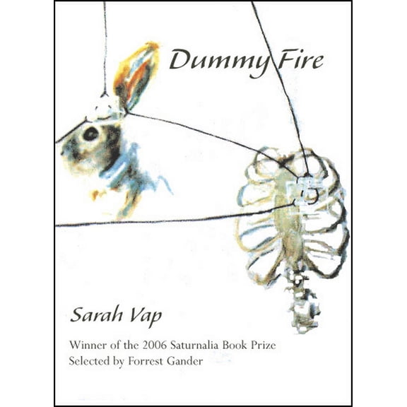 Dummy Fire (Paperback)