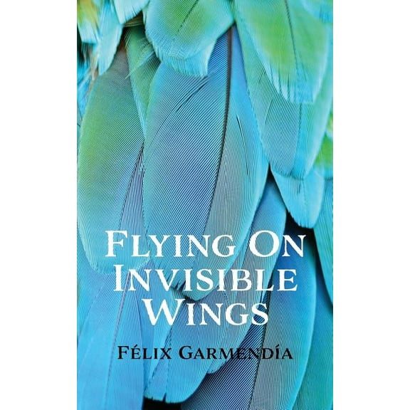 Flying On Invisible Wings (Paperback)