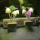 thumbnail image 2 of 2 Pack Plug In Led Mushroom Night Light Lamp With Dusk To Dawn Sensor Cut Color Changing Bed Nightlight Led Wall Light, 2 of 5