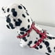 thumbnail image 5 of Spiked Studded Leather Puppy Dog Harness Vest for Small Breeds Red, 5 of 5
