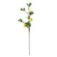 thumbnail image 1 of 3 Ramas Artificiales de Limón Planta Falsa con Hojas Verdes para Baby Showers Bodas Ceremonias fiestas ANGGREK  Otros, 1 of 8
