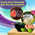 thumbnail image 4 of Reusable Heart Shaped Plastic Mold for Chocolate and Cake, Versatile DIY Baking Tool for Jelly Soap and Resin Crafts, Durable Heart Design Mold for Holiday Parties and Home Crafting, 4 of 8