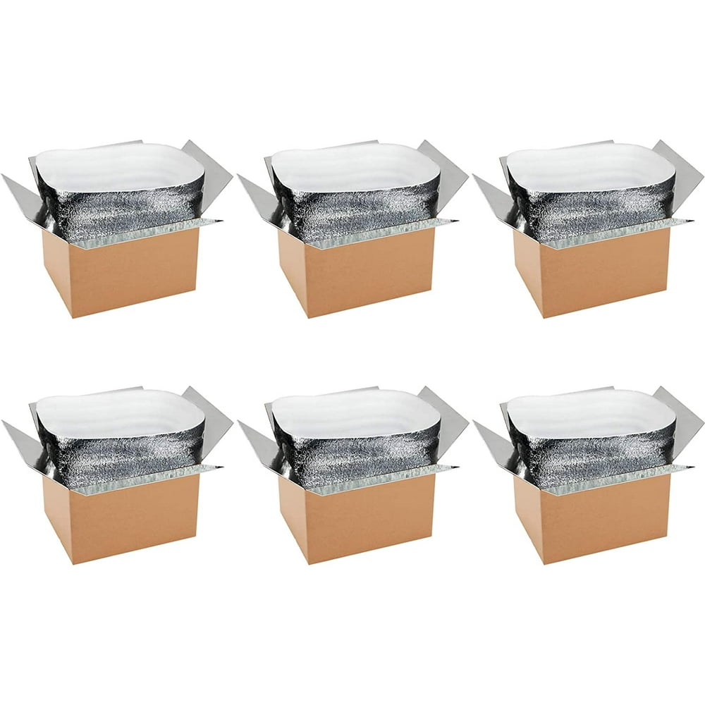 YSSOA Thermo Chill Double Insulated Carton with Foil Insulated Bag