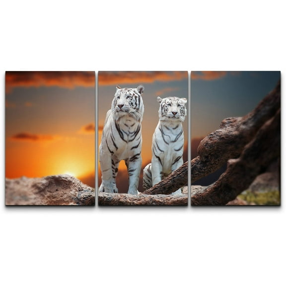 wall26 - 3 Panel Canvas Wall Art - Two White Tigers at Sunset Time - Giclee Print Gallery Wrap Modern Home Art Ready to Hang - 24"x36" x 3 Panels