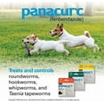 thumbnail image 3 of Panacur C Canine Dewormer Dogs 1 (3 Packets) Gram Each Packet Treats 10 lbs (Fivе Расk, Yellow), 3 of 5