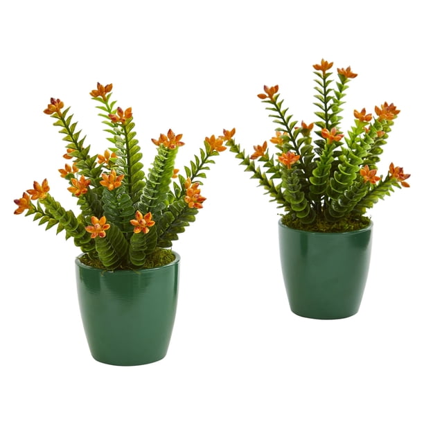 Planta Artificial Suculenta Sedum En Macetero Verde (Juego De 2)