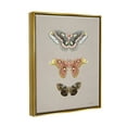 thumbnail image 3 of Stupell Industries Vintage Moth Specimens Animals & Insects Painting Gold Floater Framed Art Print Wall Art, 17 x 21, 3 of 9