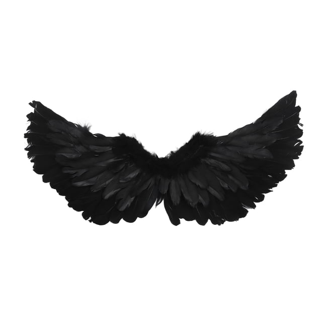 Disfraz de alas de ángel con plumas Conjunto de alas de ángel Disfraz de vestido de alas de ángel Disfraz de alas de ángel Escenario artístico Alas de cosplay ANGGREK Otros