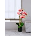 thumbnail image 2 of Serene Spaces Living Faux Pink Phalaenopsis Orchids in Pot, 5" Dia & 26" Tall, 2 of 3