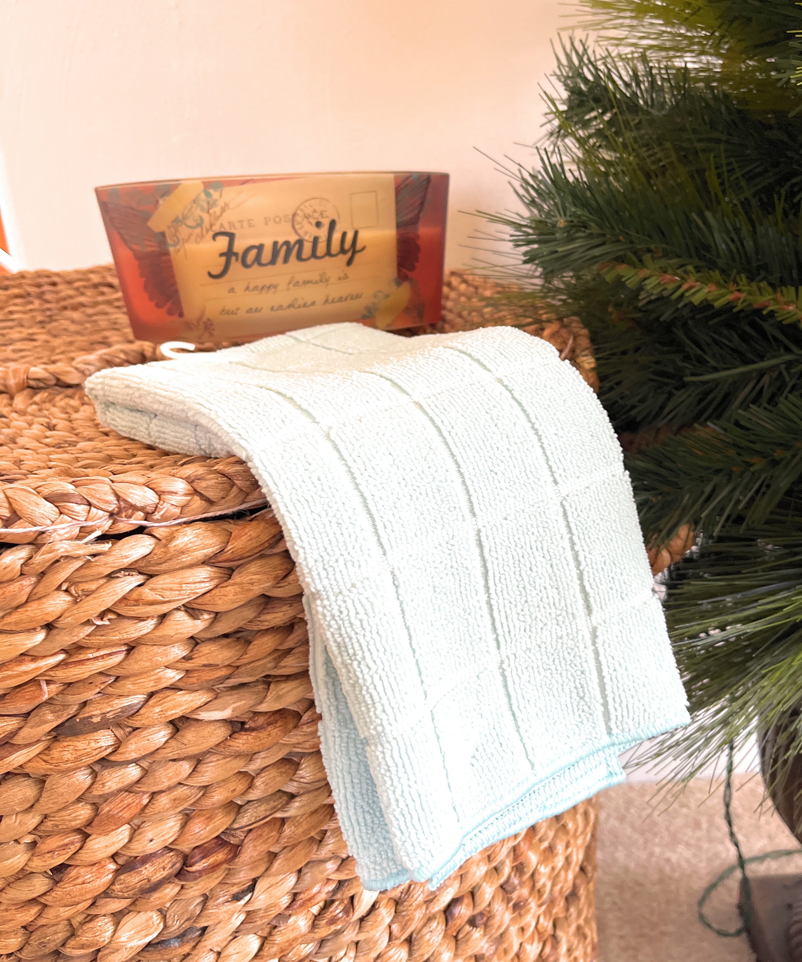 Spring Winter Fall Summer Mint Green Kitchen Towels Set of 2 Dish Towel