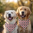thumbnail image 2 of Dog Bandana 2 Pack,Red Black White Checkered Pattern Bandanas for Dogs,Cat Bandana,Small/ Large Dog Bandana 2 Size,Dog Bandanas, 2 of 6