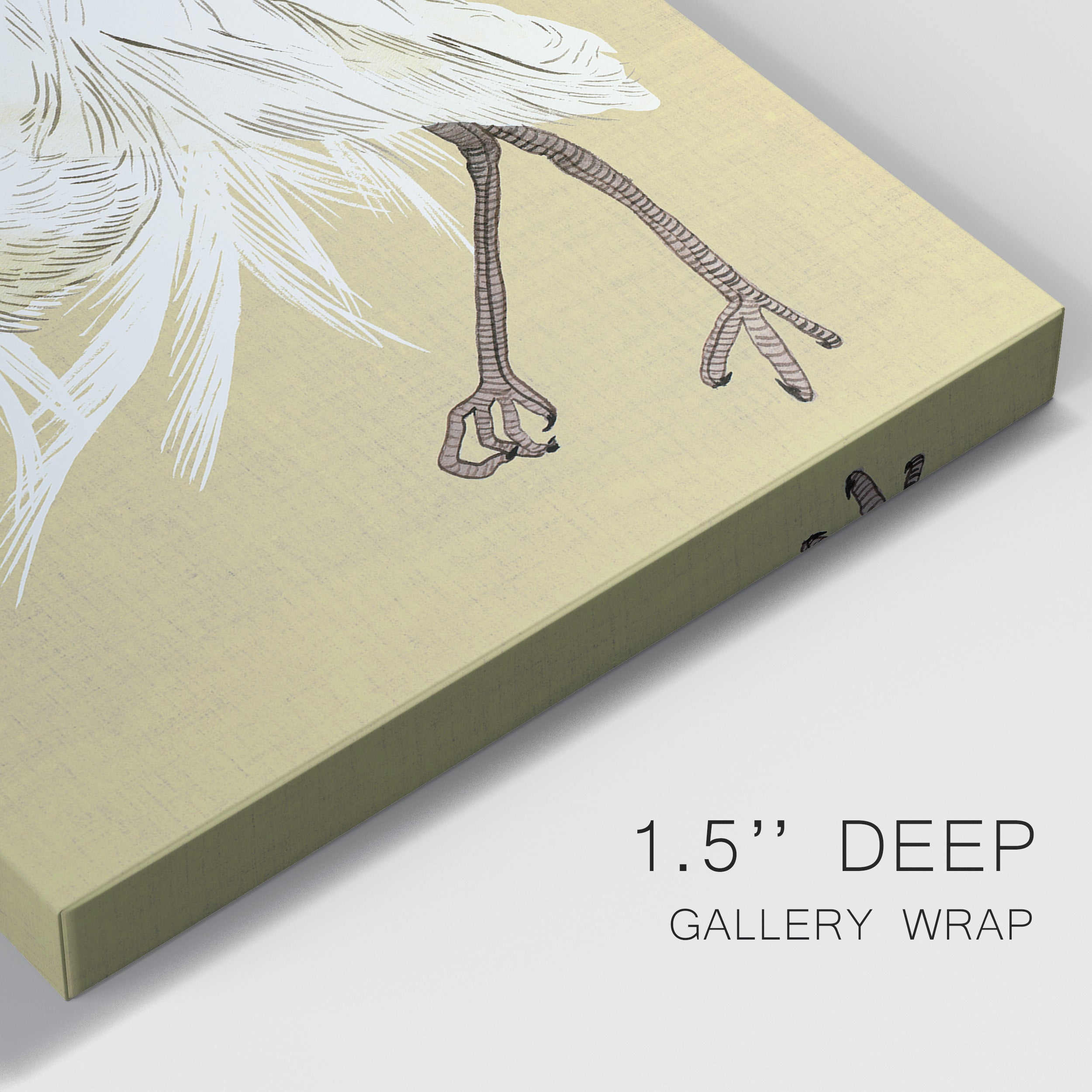 Heron Plumage VI Premium Gallery Wrapped Canvas - Ready to Hang