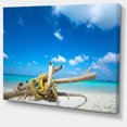 thumbnail image 2 of Deadwood on White Sand Beach, 2 of 3