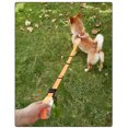 thumbnail image 4 of relayinert Dog Leash Reflective Strong Leashes Training Harness Protect Rope for Dogs Nimble Long Multi-function Handle, 4 of 6