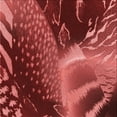 thumbnail image 1 of Ahgly Company Indoor Square Patterned Cranberry Red Area Rugs, 6' Square, 1 of 6