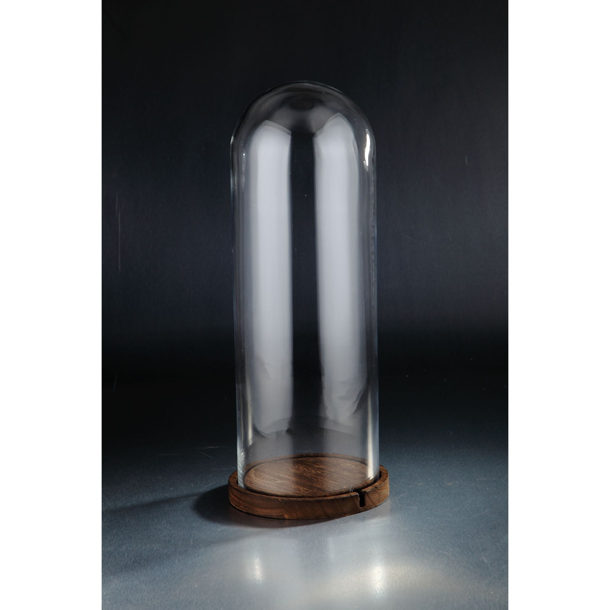 22" Clear and Brown Glass Display Dome with Base
