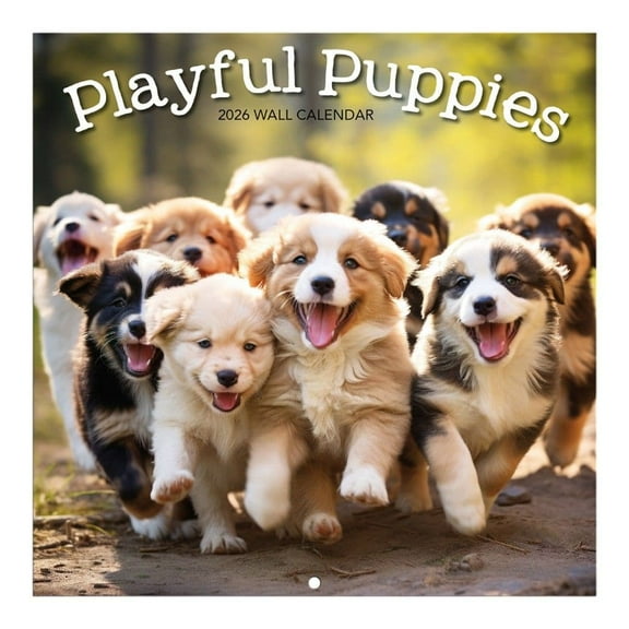 Turner Licensing, Playful Puppies Photo 2026 Mini Wall Calendar, 7'' X 7'', 12-Month Calendar with Stapled Binding