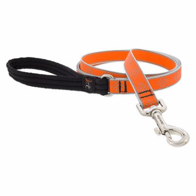 3/4x6' OD Dog Leash -48309