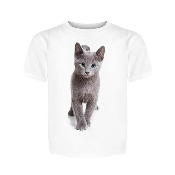Russian Blue Kitten Walking Tee Boy's -Image by Shutterstock
