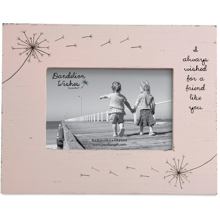 Dandelion Wishes Picture Frame Friend Like You Pink Rustic 4x6