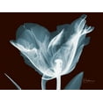 thumbnail image 2 of Koetsier, Albert 18x15 White Modern Wood Framed Museum Art Print Titled - Single Tulip Blue on Red, 2 of 4