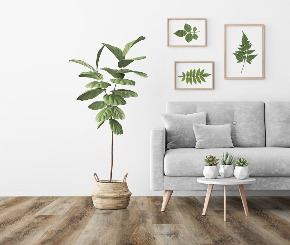 PRODURA-Foxwood-Vinyl Plank Waterproof Click Lock Luxury Flooring (48 in x 7-3/8 in x 6mm/22mil)