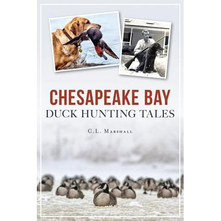 Chesapeake Bay Duck Hunting Tales (Best Places On Chesapeake Bay)