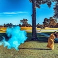 thumbnail image 4 of Set de béisbol Gender Reveal Winsharp con 2 pelotas rosas y azules, 4 of 6
