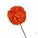 thumbnail image 1 of Abbraccia Flores artificiales naranjas para bodas, accesorios de seda para techo, fondo ins para sala y comedor, 1 of 6