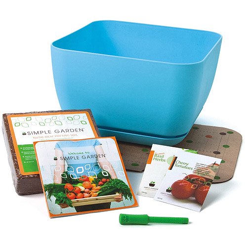 Fertile Garden - brainsplatdesigns