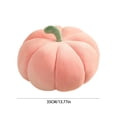 thumbnail image 3 of Uutvmp Pumpkin Throw Pillow Cushions Decorative Throw Pillow Sofa Bed Pillow Patio Furniture Cushions Seat Cushion Nap Pillow Car Pillow（Pink,13.77inch）, 3 of 9