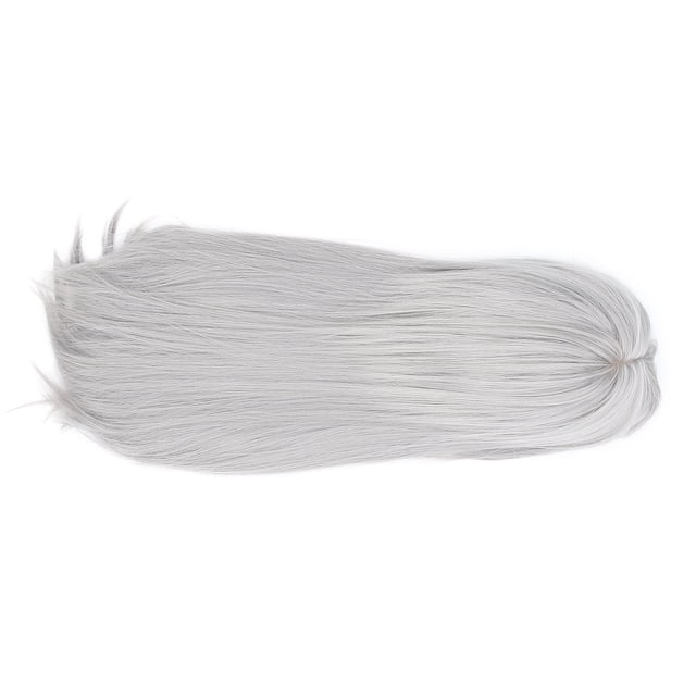 Peluca Larga, Peluca de Pelo Gris para Mujer, Peluca Recta de Cosplay, Pelo Falso Natural para Uso Diario de Fiesta de Halloween Amonsee No