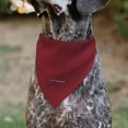 thumbnail image 5 of Star Wars Pet Bandana Star Wars Darth Vader Face and Text Flame Red Black White Slip On Collar&nbsp;Bandana Only, 5 of 6