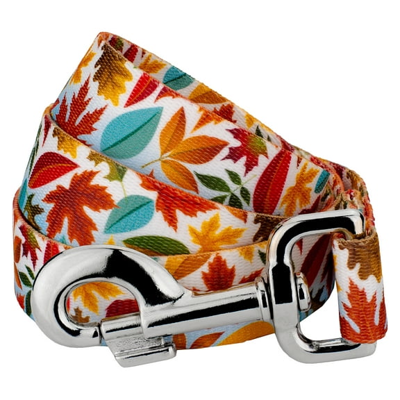 Country Brook Petz® 5/8 inch Brisk Autumn Dog Leash - 6 Foot