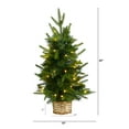 thumbnail image 2 of Nearly Natural 2ft. Artificial Christmas Tree with 35 Clear LED Lights in Decorative Basket, 2 of 7