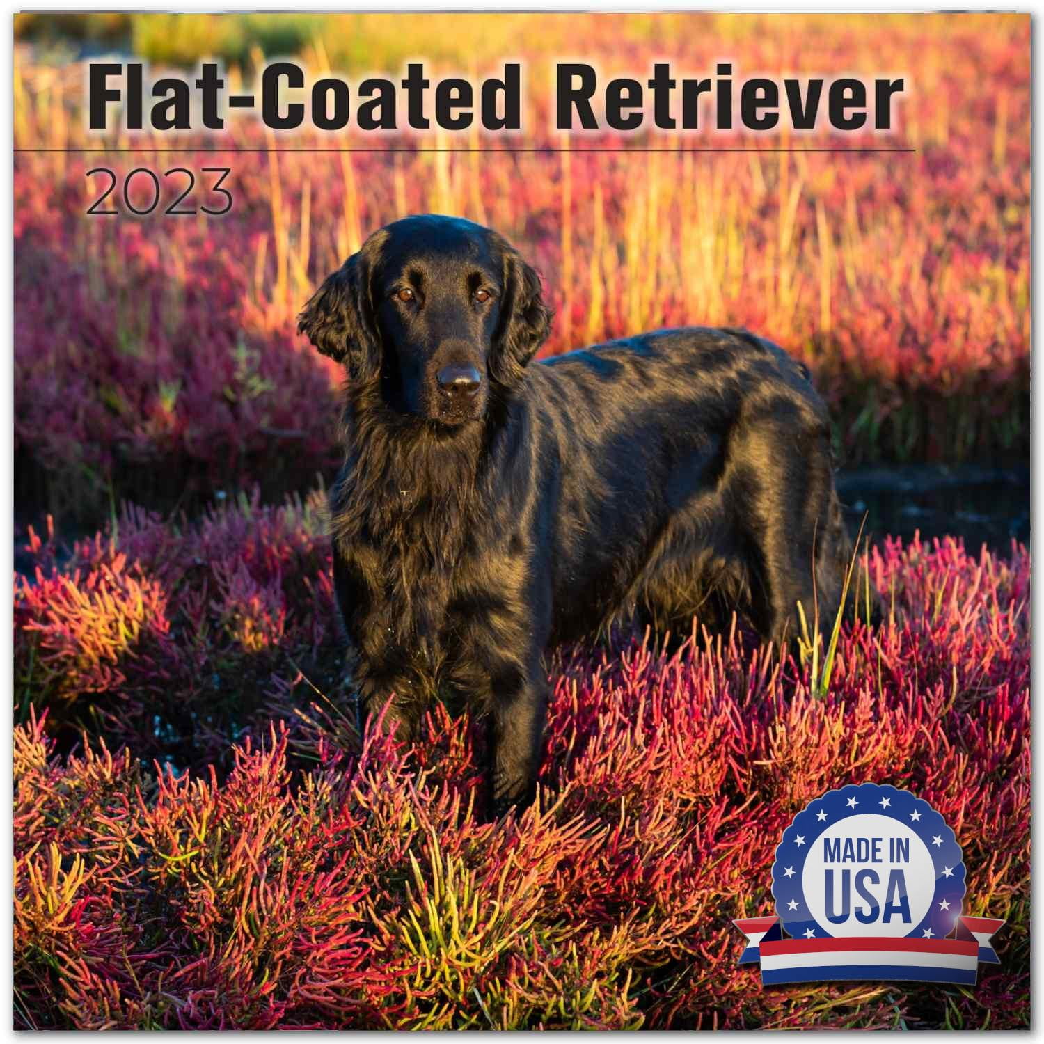 2022 2023 Flat-Coated Retriever Calendar - Dog Breed Monthly Wall Calendar - 12 x 24 Open - Thick No-Bleed Paper - Giftable - Academic Teacher's Planner Calendar Organizing & Planning - Made in USA