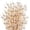 White, variant on PETGLE 300PCS Gold Pearl Cocktail Picks, 4.7" Bamboo Toothpicks for Appetizers, Fancy Food Sticks for Party, Wedding, Charcuterie, Fruit, Dessert, Drinks, Buffet Decor