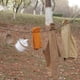 thumbnail image 4 of Fiudx Tendedero Reflectante, Cuerda Ajustable Resistente Al Viento, Bolsa de Almacenamiento Portátil, Ideal para Acampar Al Aire Libre y Viajes, Seguridad Nocturna, Sin Necesidad de Perchas, 3 Metros, 4 of 6