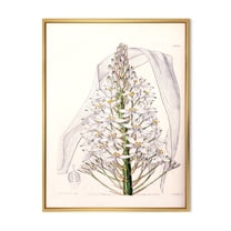 Designart 'White Vintage Orchid I' Traditional Framed Canvas Wall Art Print