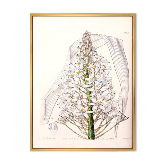 Designart 'White Vintage Orchid I' Traditional Framed Canvas Wall Art Print