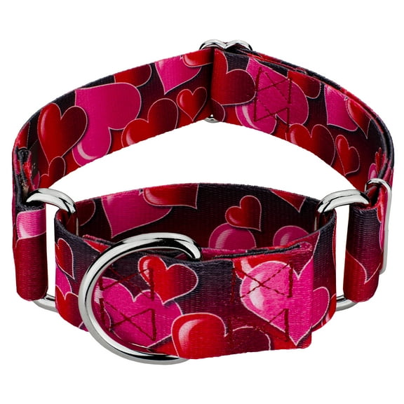 Country Brook Petz® 1 1/2 inch Romantic Hearts Martingale Dog Collar, Extra Large