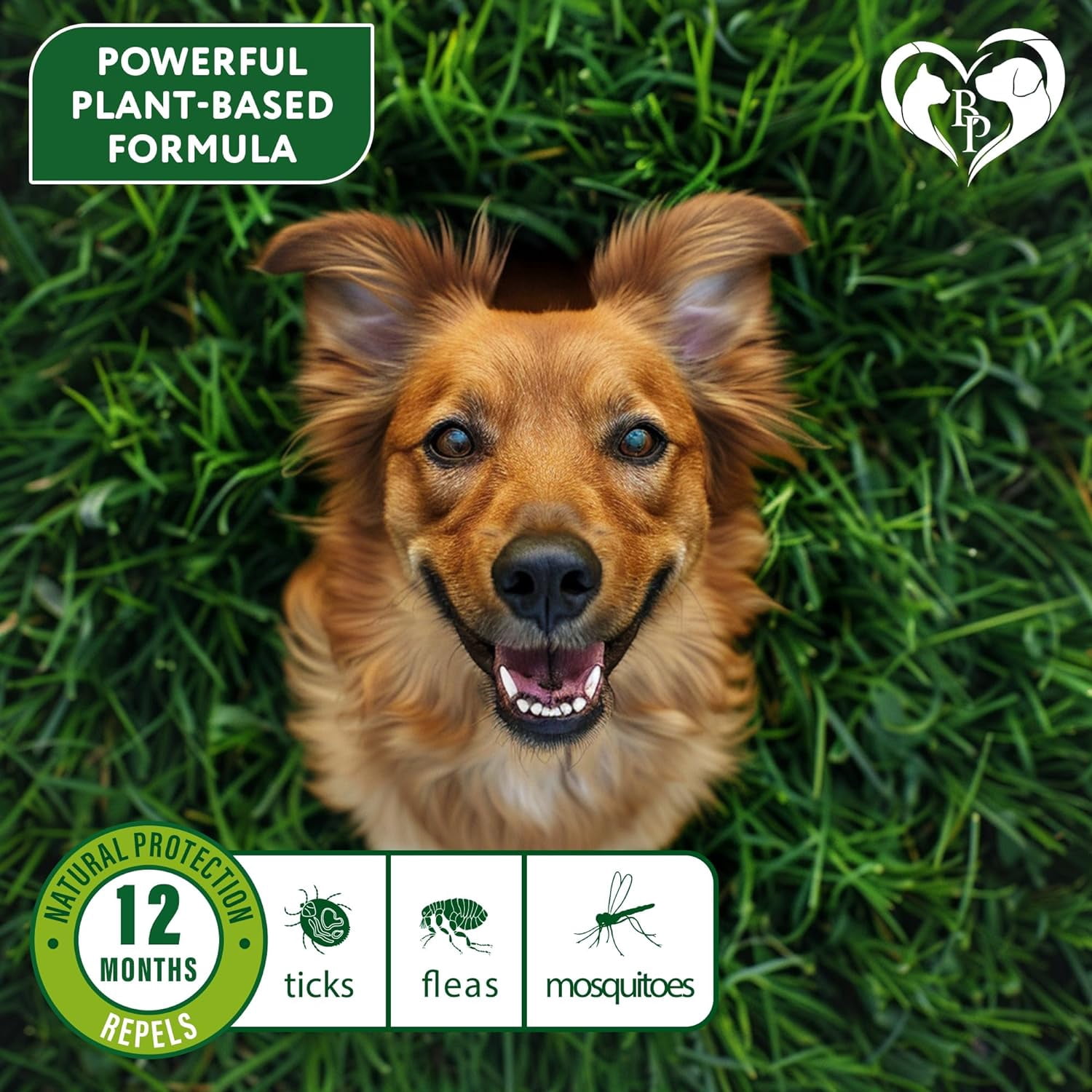 Natural Flea & Tick Collar for Dogs - 12 Months of Prevention & Safe Treatment, Anti-Flea and Tick Essential Oil Repellent (1 Pack, 2 Count)