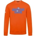 thumbnail image 2 of Men's Levelwear Orange Detroit Tigers Zane Spring Training 2 Pullover Sweatshirt, 2 of 3