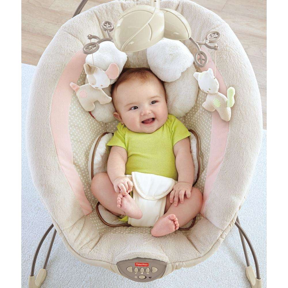 fisher price my little snugapuppy bouncer