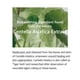 thumbnail image 2 of Mezcla de esencia Soondy Centella Asiatica 100 ml para piel, 2 of 8