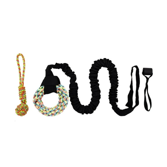 Dog Hanging Bungee Tug Toy Interactive Tree Hanging Tether Tug-of-War Toy with Chew Toys Indoor Self Play Spring Rope for Large And Medium Dogs